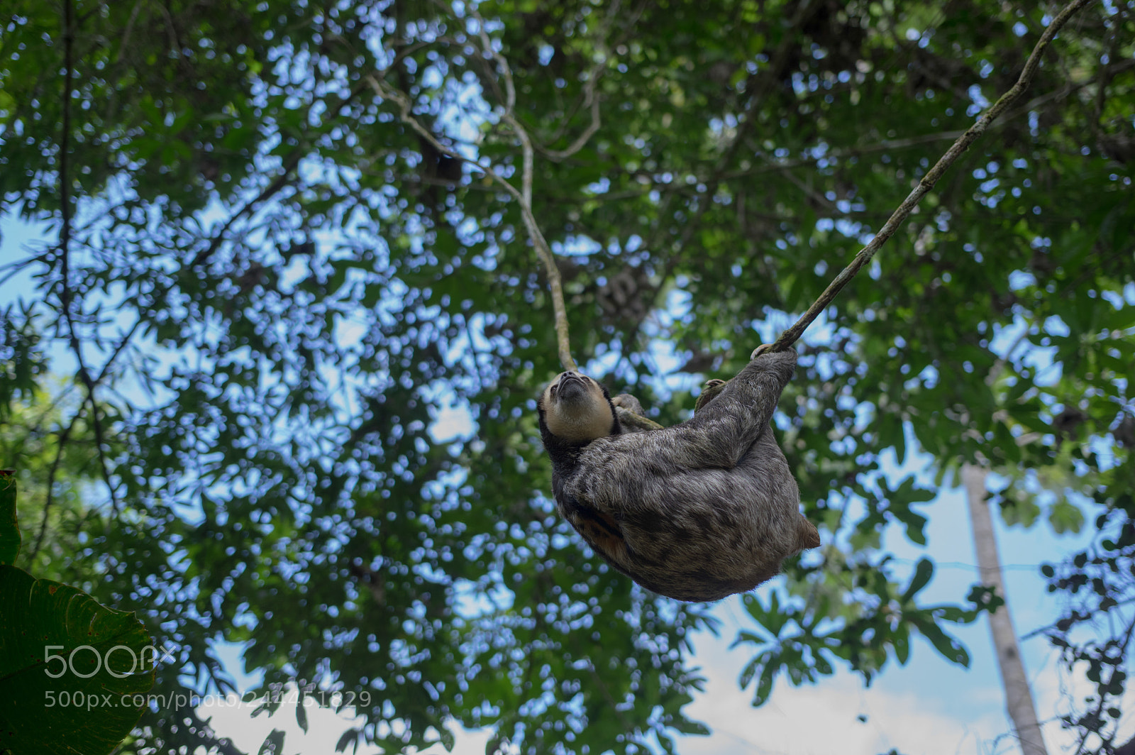 Pentax K-3 sample photo. Img photography