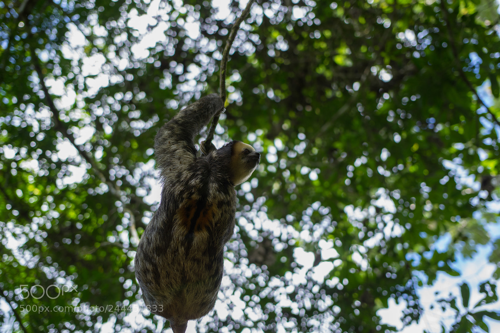 Pentax K-3 sample photo. Img photography