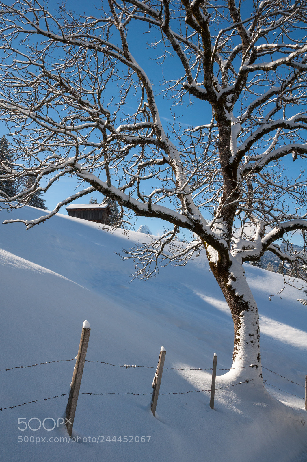 Nikon D90 sample photo. 02150: im turbachtal photography