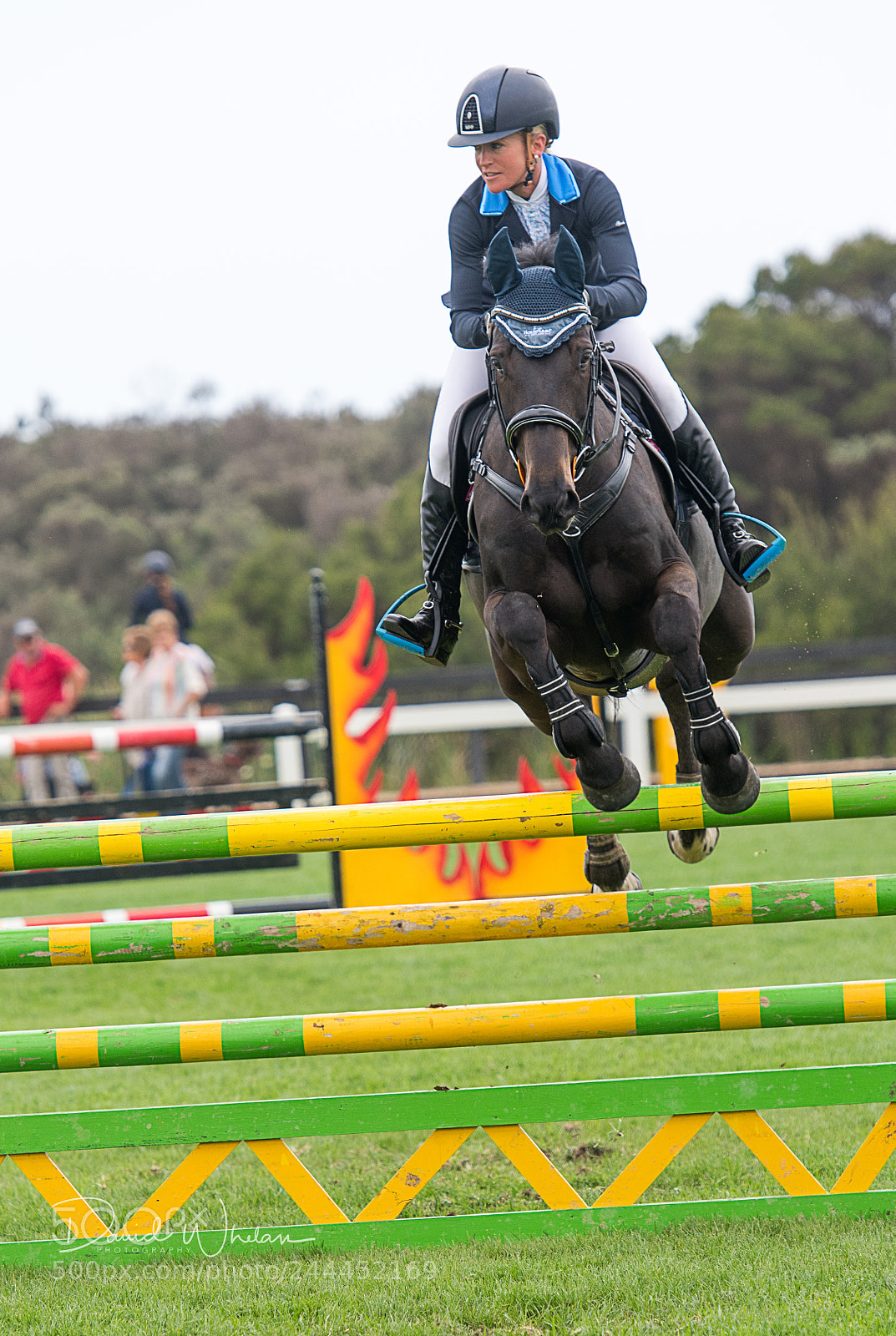 Nikon D850 sample photo. Show jumping photography