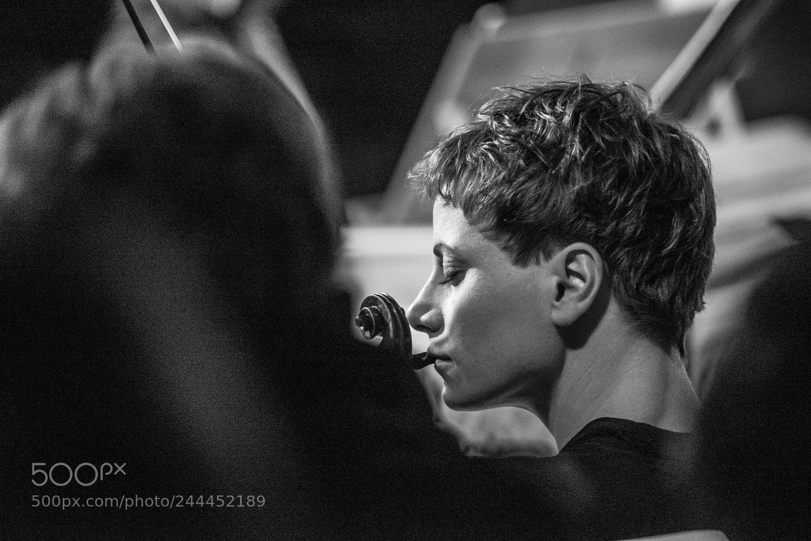 Nikon D610 sample photo. Violinist photography