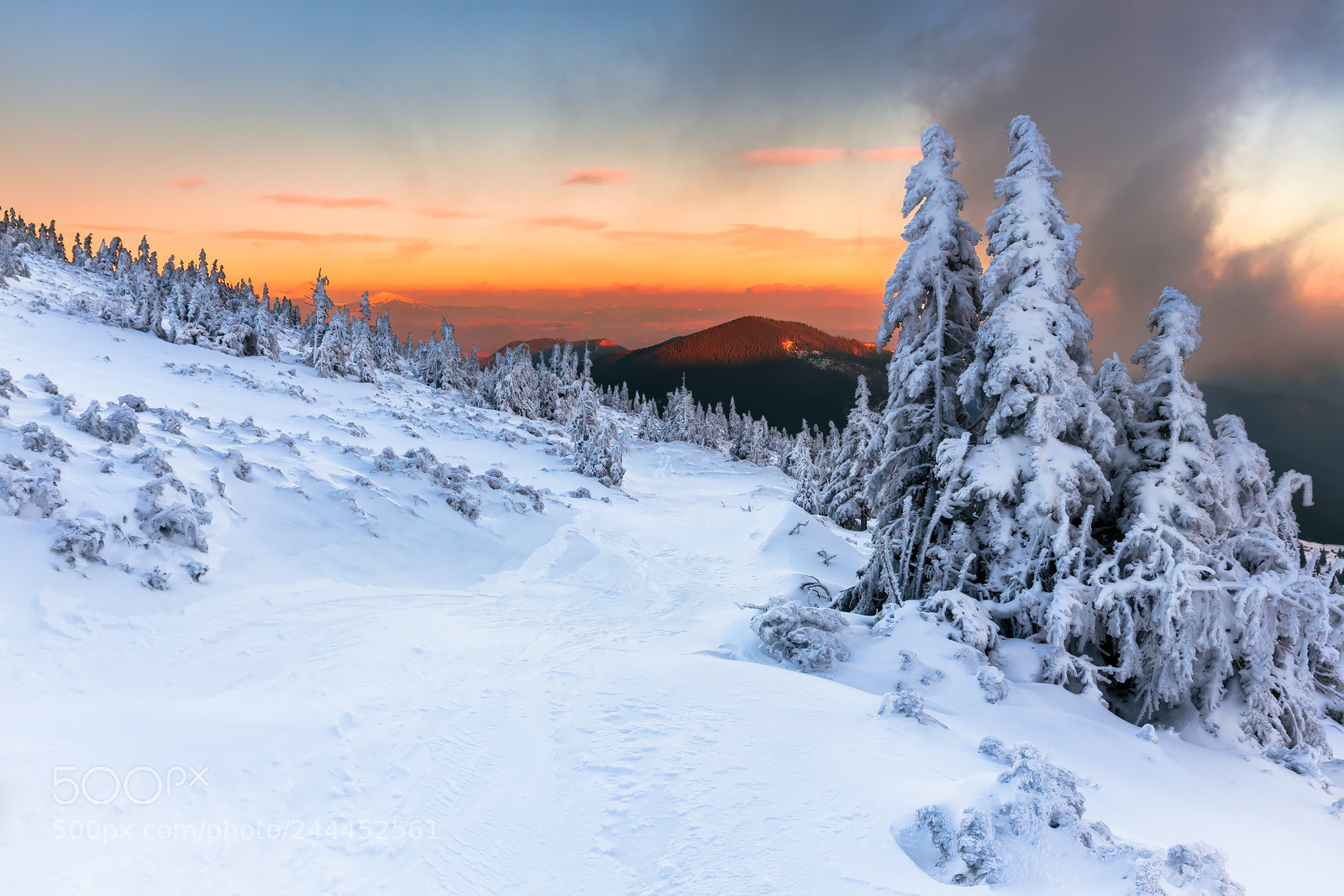Canon EOS 50D sample photo. A snowy trail photography