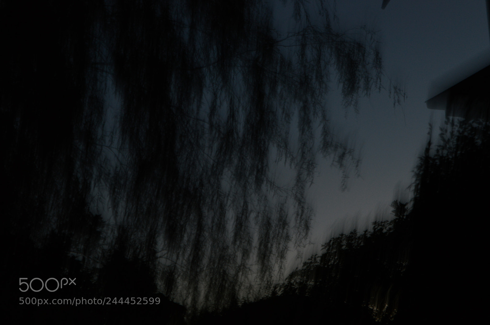 Nikon D3200 sample photo. Distored nightmare photography