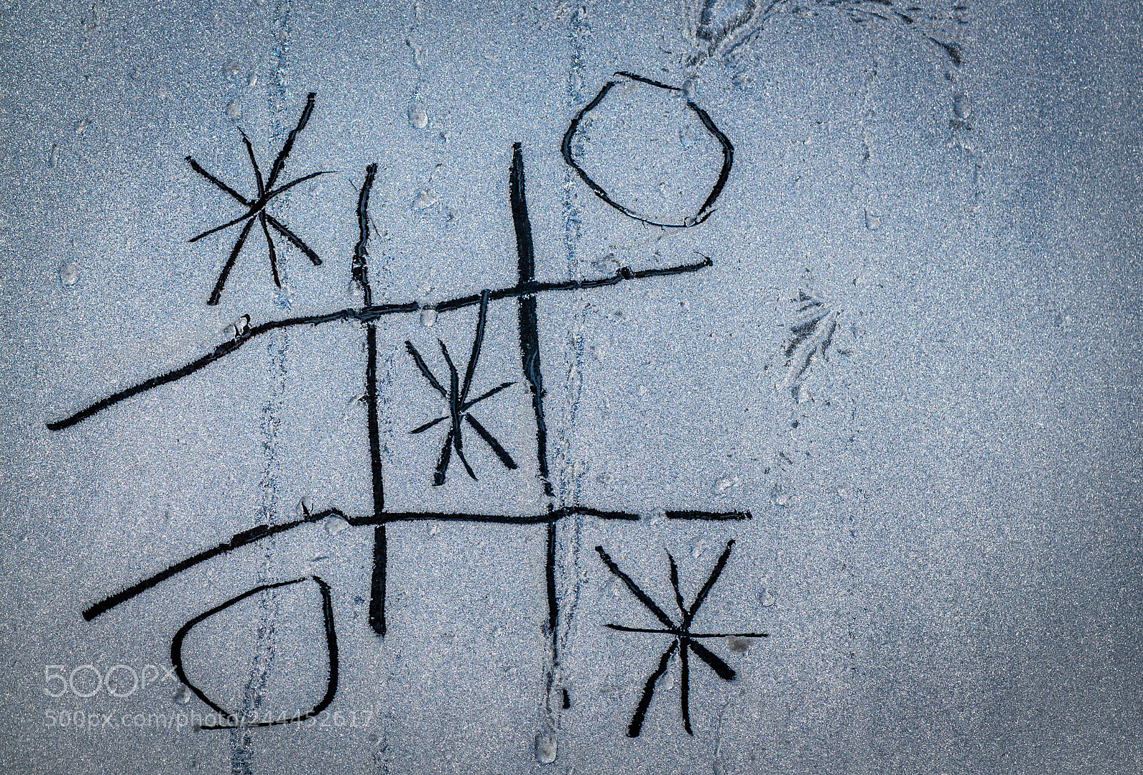 Nikon D5000 sample photo. Winter wins photography