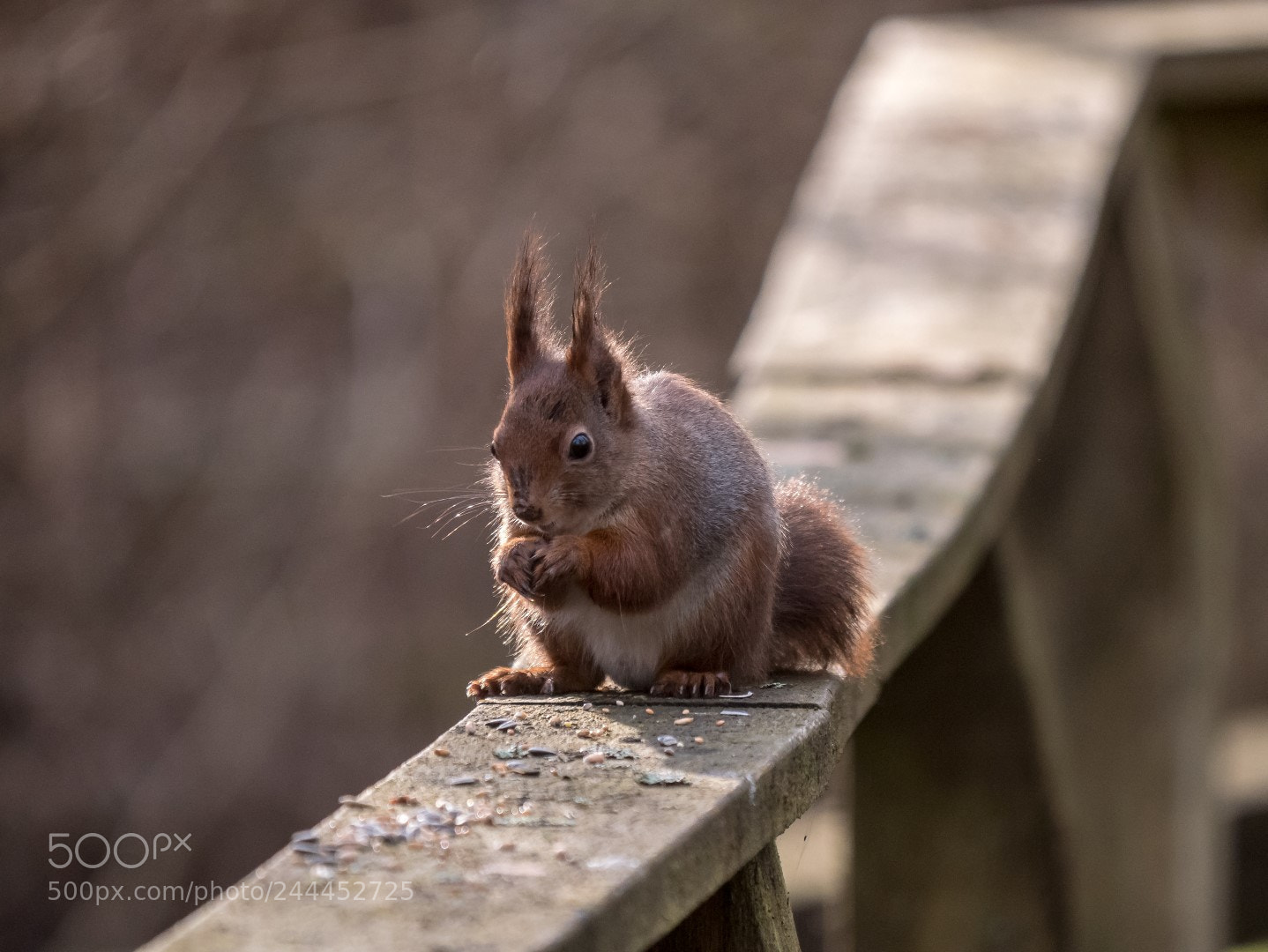 Panasonic Lumix DMC-GX85 (Lumix DMC-GX80 / Lumix DMC-GX7 Mark II) sample photo. Cute photography