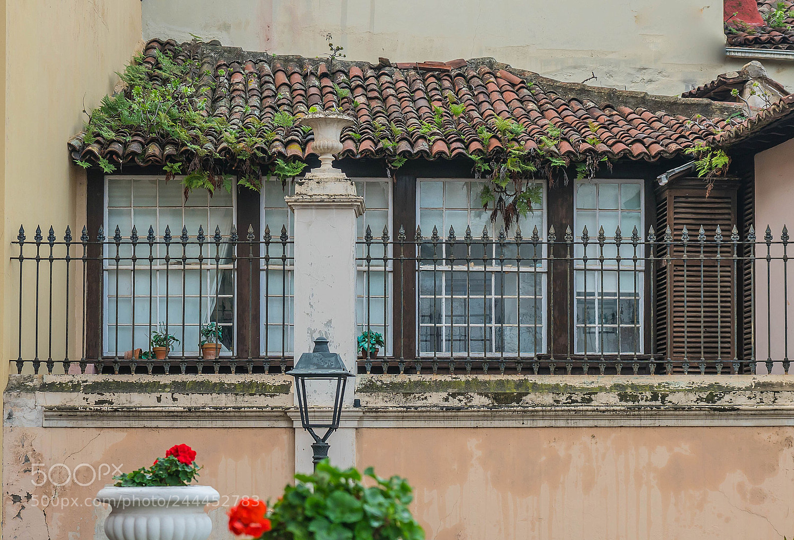 Sony a6300 sample photo. A quiet angle photography