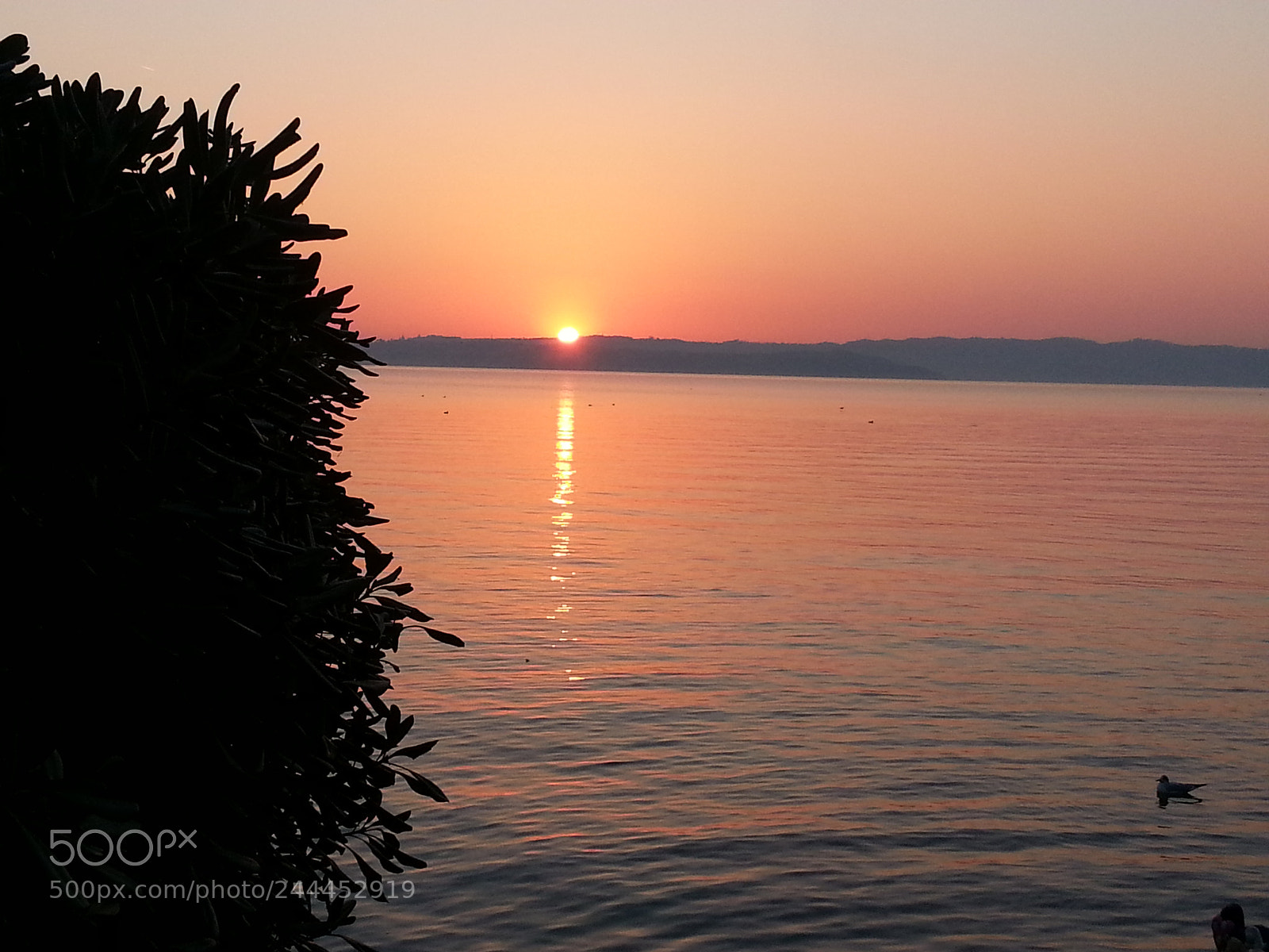 Samsung Galaxy Note2 sample photo. Untitled photography