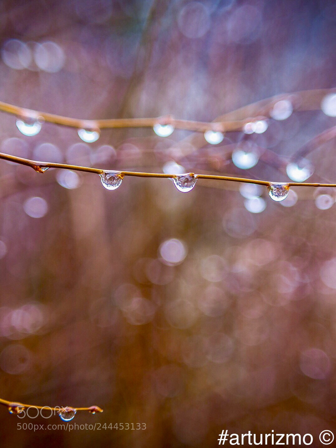 Nikon D7200 sample photo. Drops of rain photography