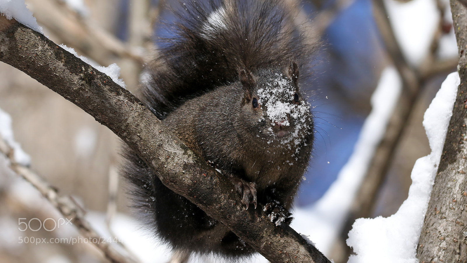 Canon EOS 7D Mark II sample photo. Do i have something photography