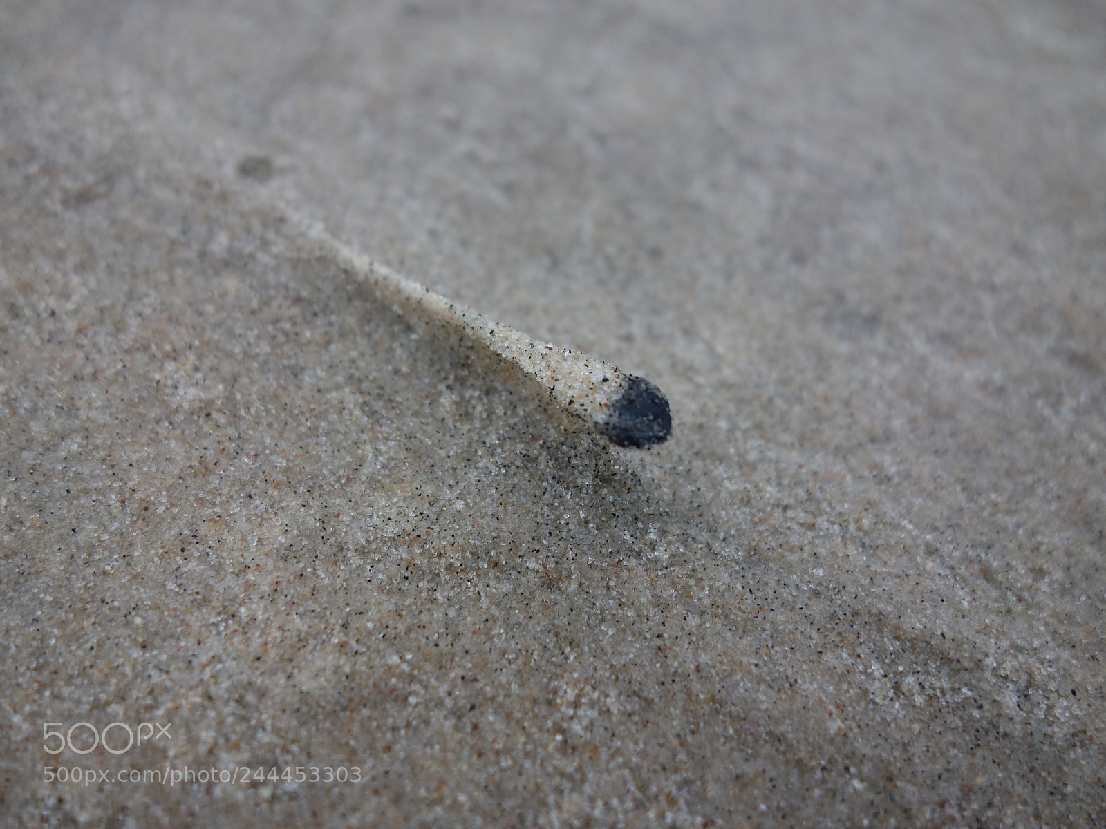 Sony Cyber-shot DSC-RX100 sample photo. Struggle photography