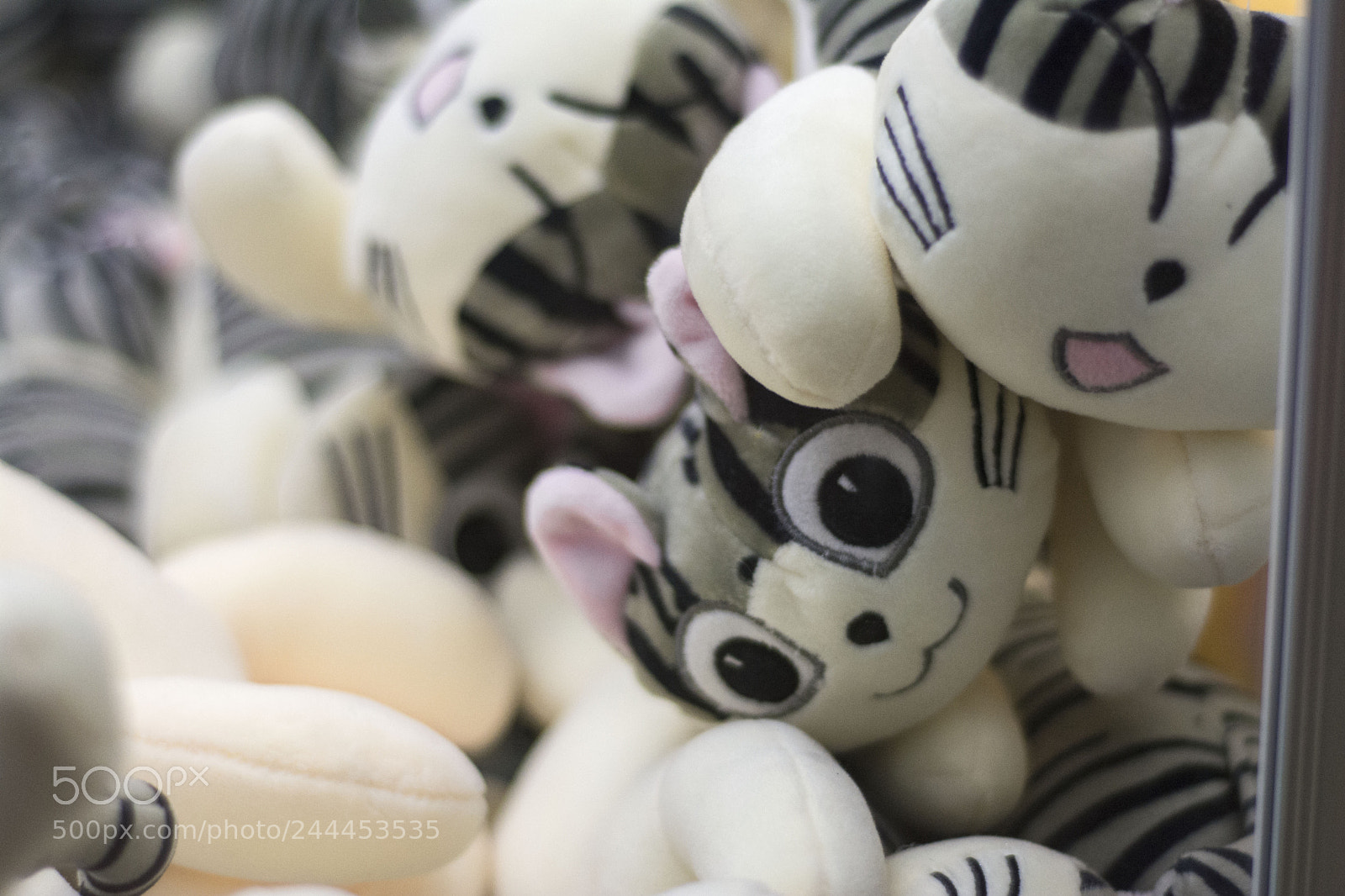 Nikon D7100 sample photo. Untitled photography