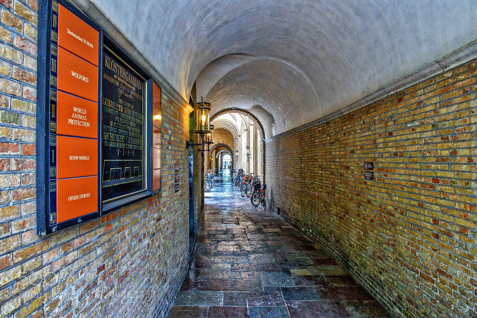 Nikon D4S sample photo. Just an alley in photography