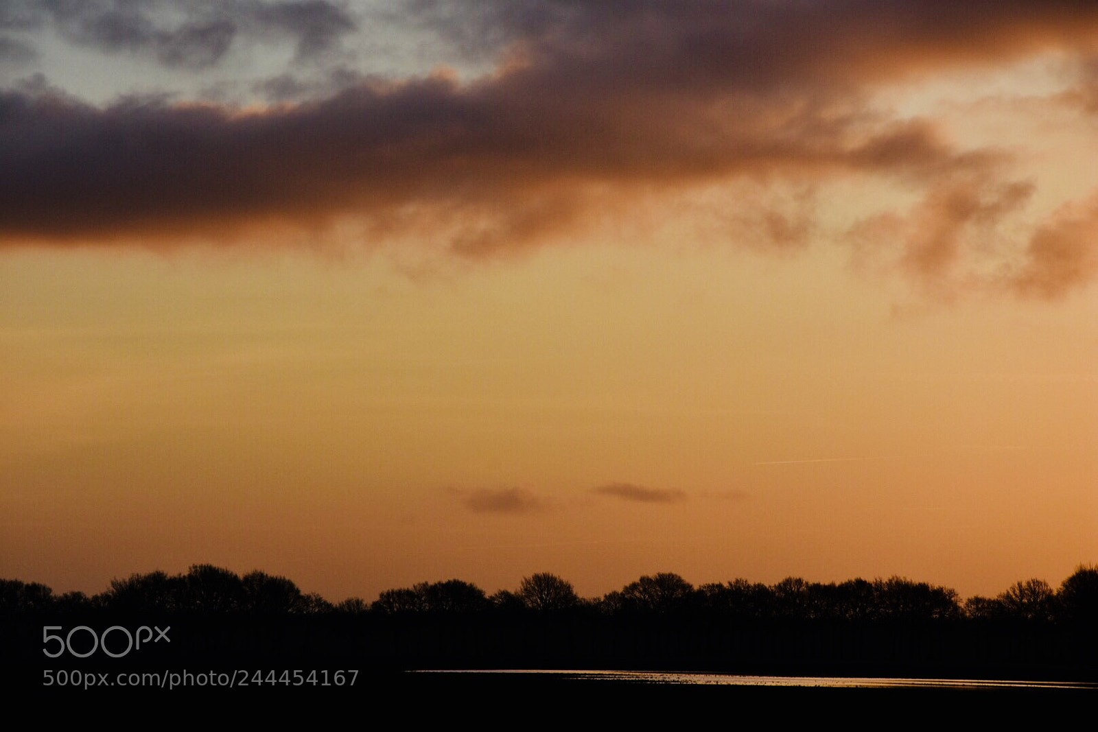 Nikon D7200 sample photo. A morning photography