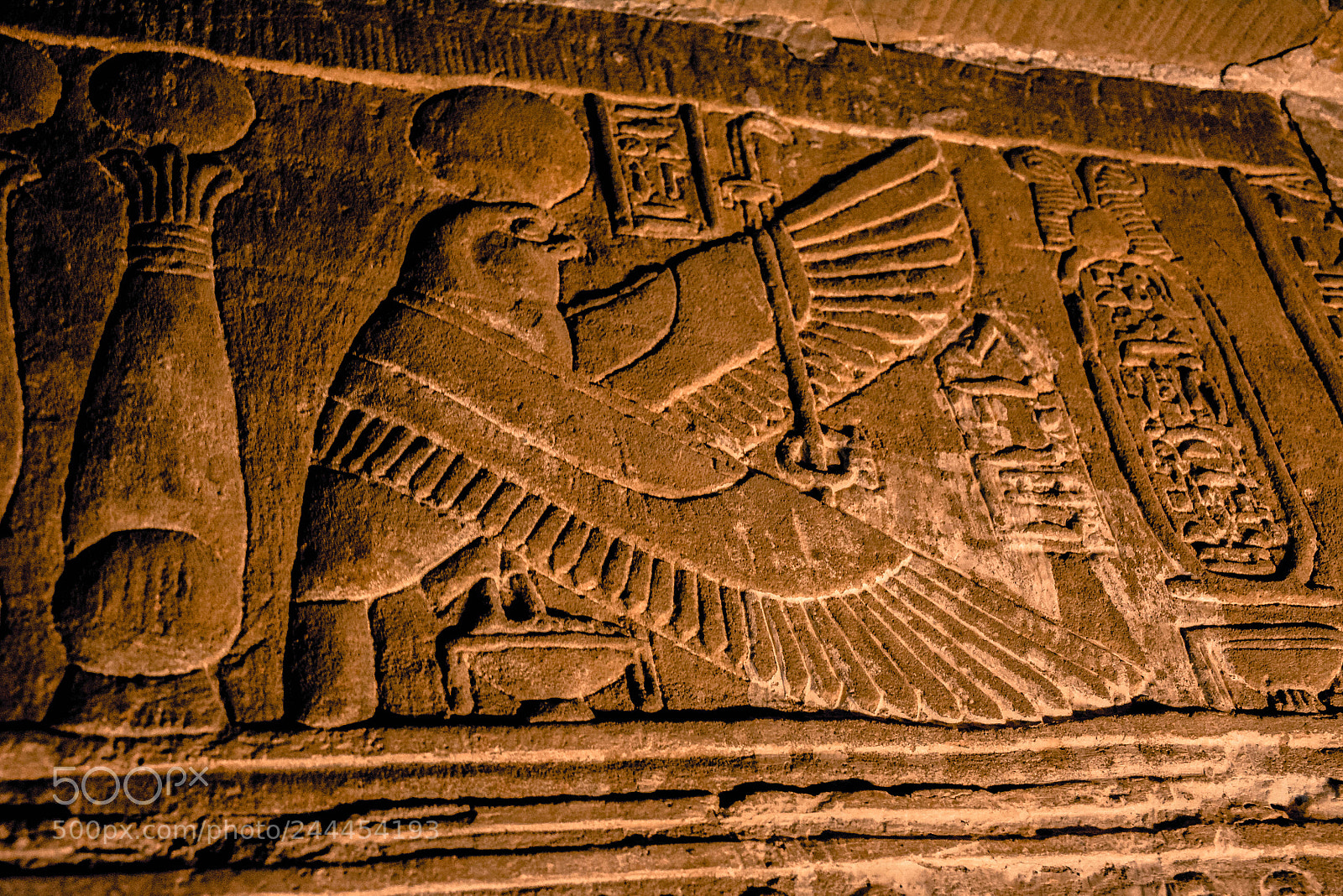 Nikon D7100 sample photo. Horus photography