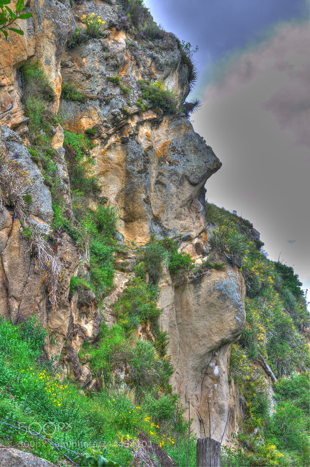 Nikon D90 sample photo. Watching rocks grow photography