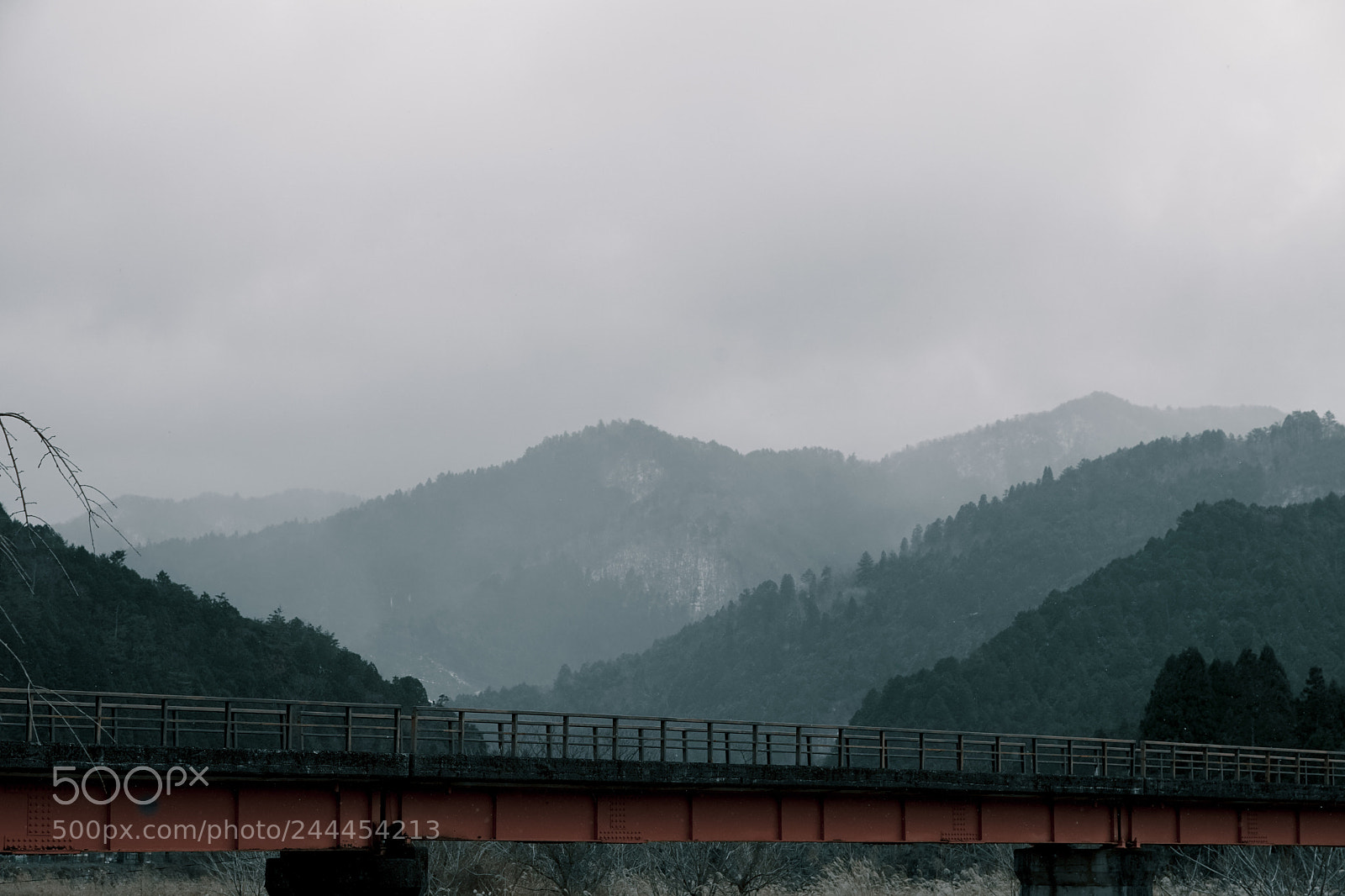 Sony a7 II sample photo. Untitled photography