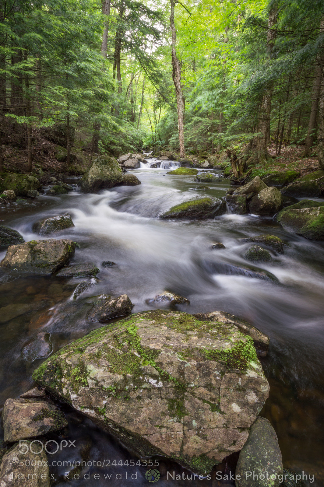 Nikon D3200 sample photo. Sentinel flow photography