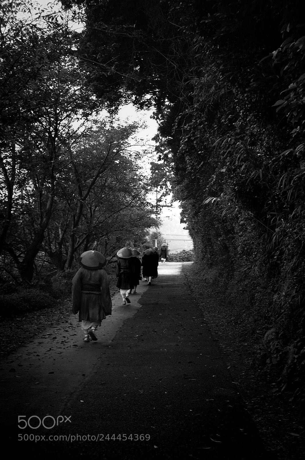 Sony Alpha NEX-6 sample photo. Mendicants photography