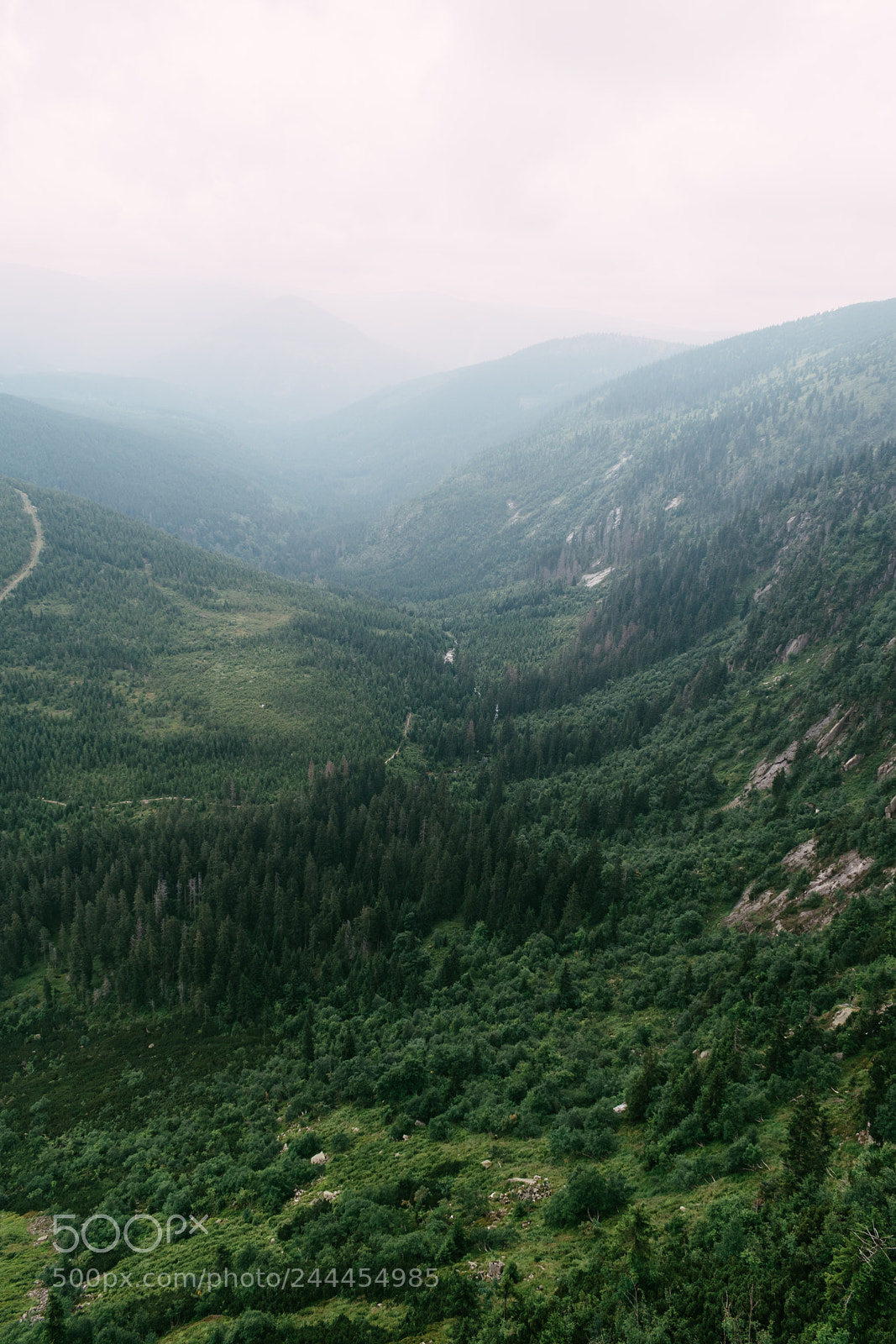 Nikon D5500 sample photo. The view over the photography