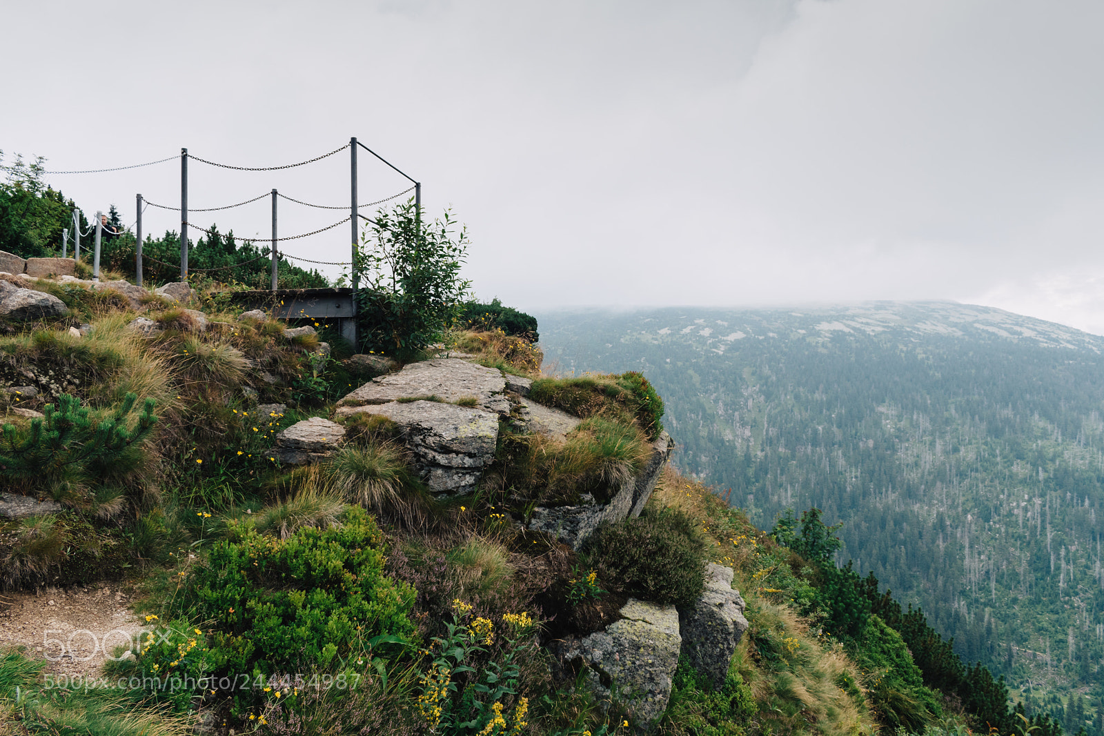 Nikon D5500 sample photo. The observation post above photography
