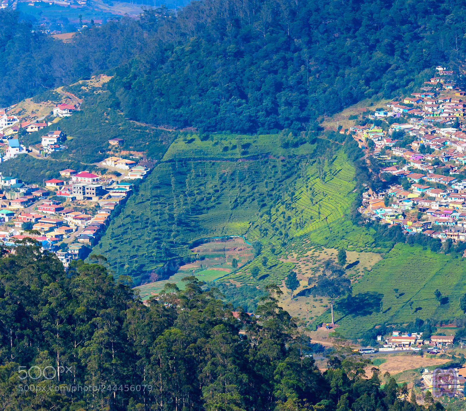 Nikon D850 sample photo. Tea estate photography