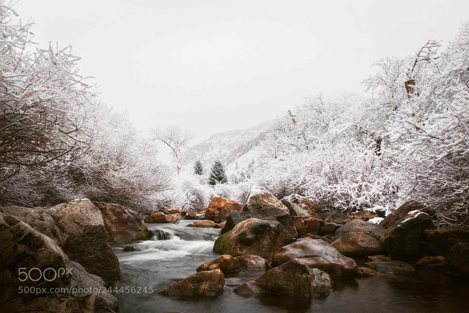 Sony a6300 sample photo. Fresh snowfall. photography