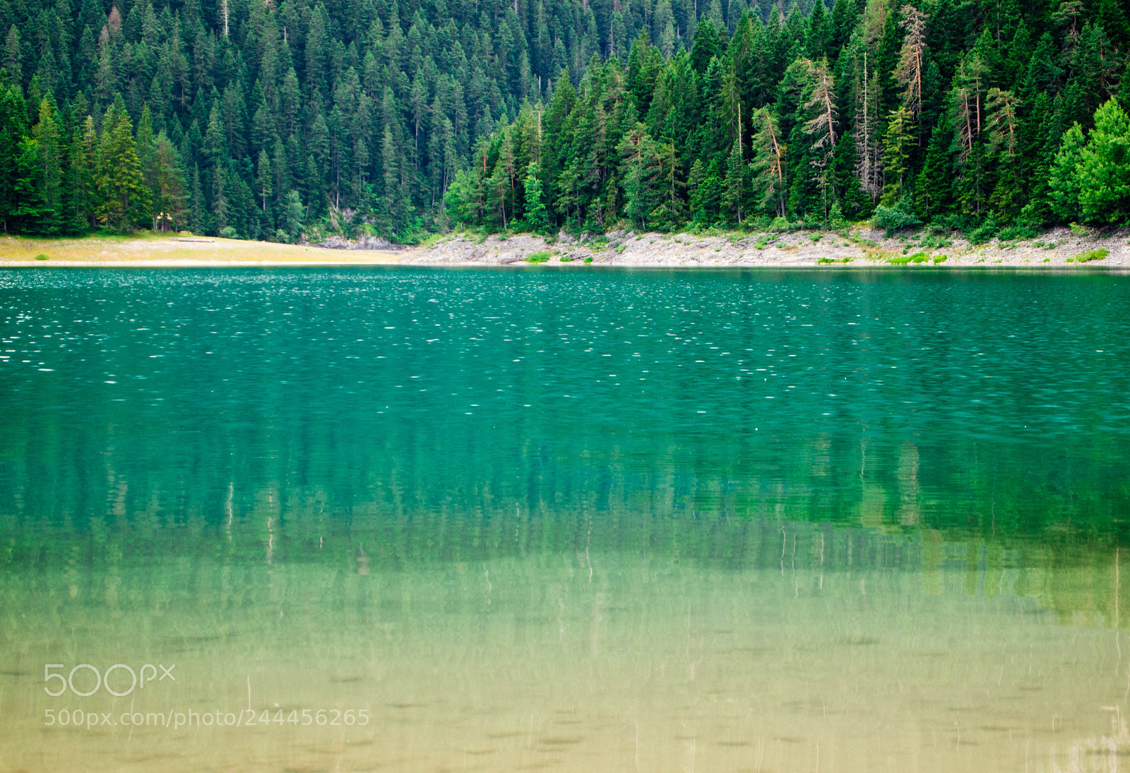 Olympus PEN E-PL1 sample photo. Black lake calmness photography