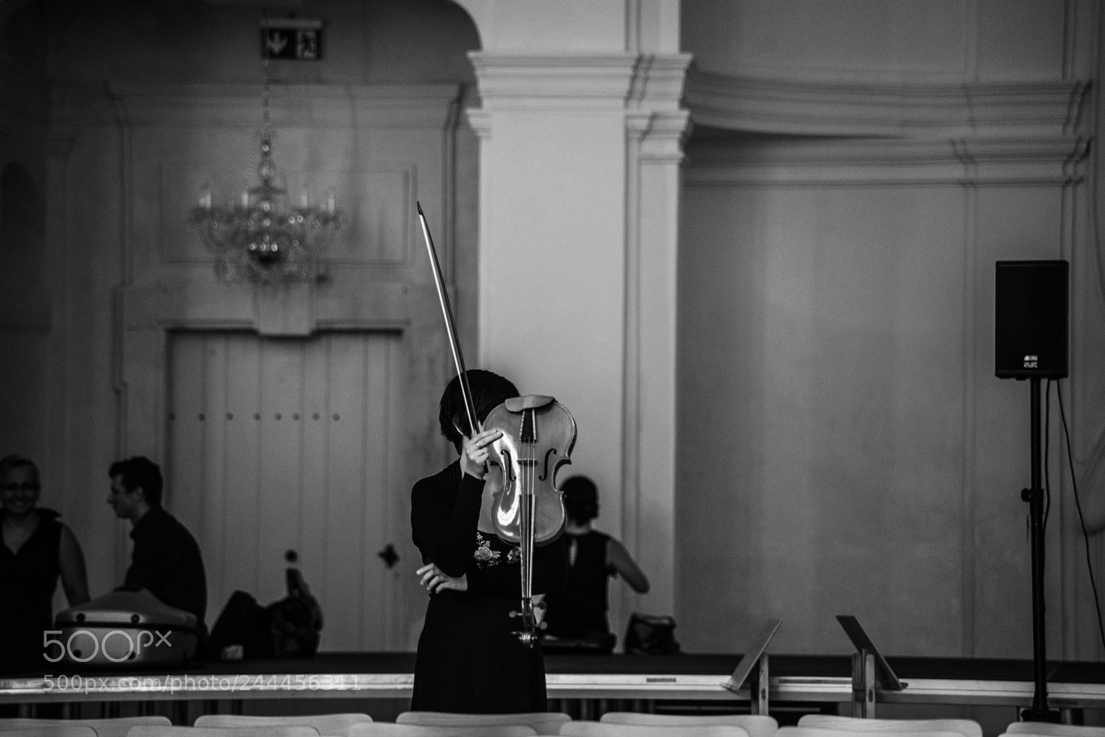 Nikon D610 sample photo. Violin photography
