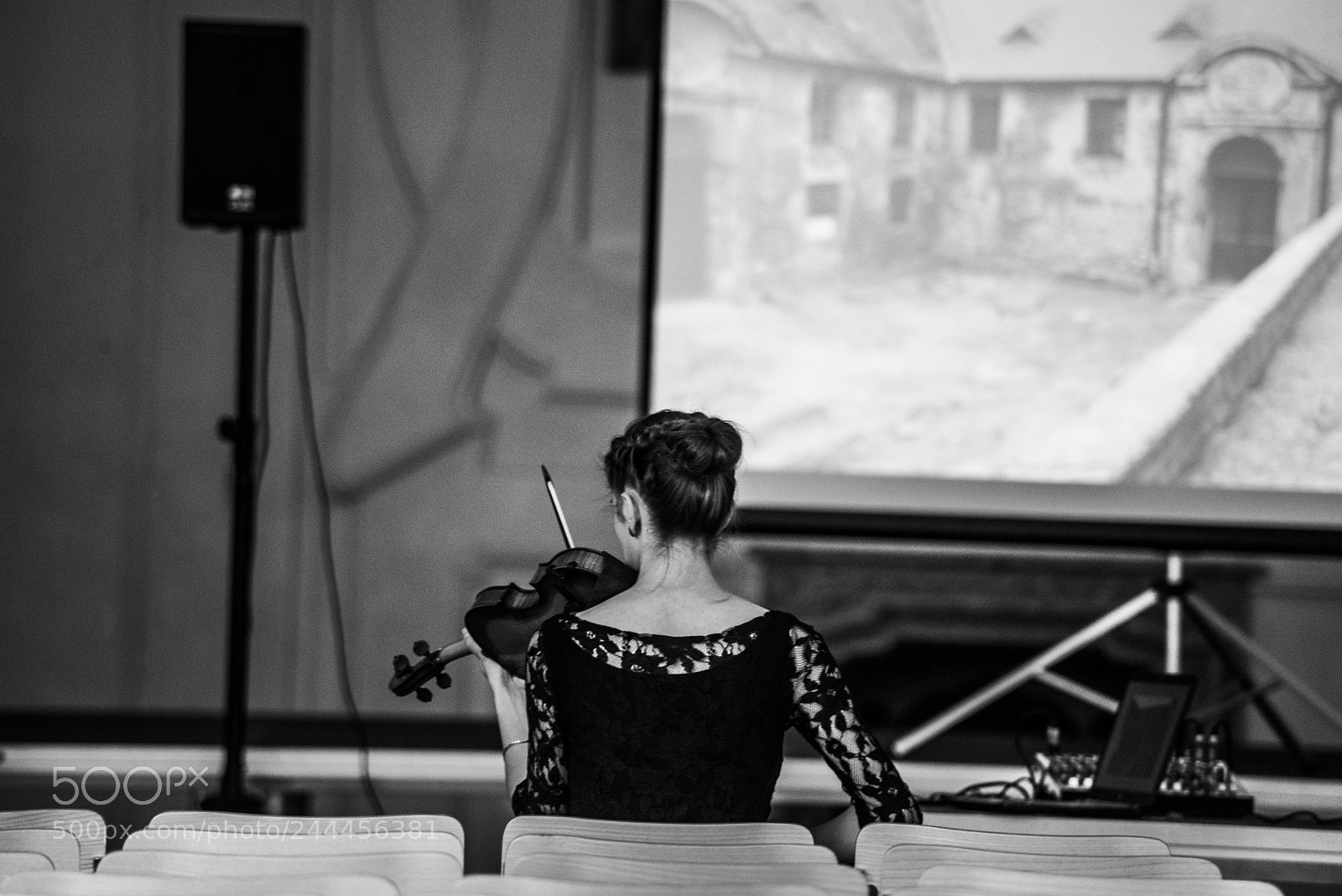 Nikon D610 sample photo. Violin photography