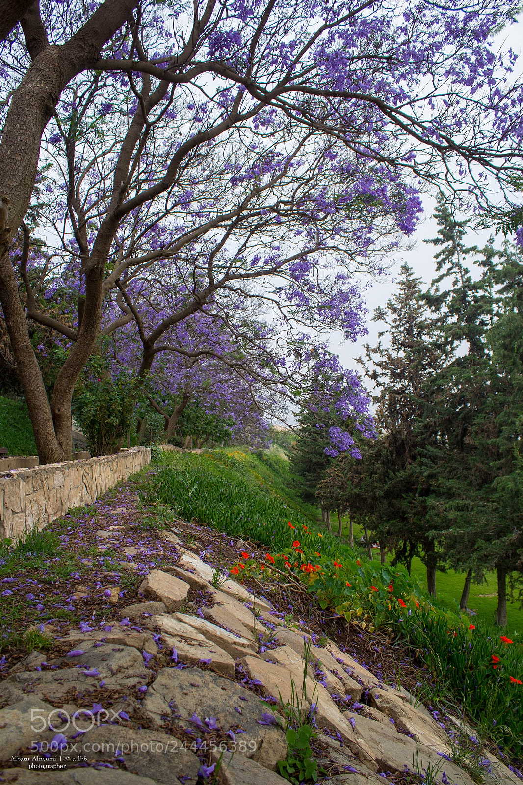Canon EOS 60D sample photo. Flowers ? photography