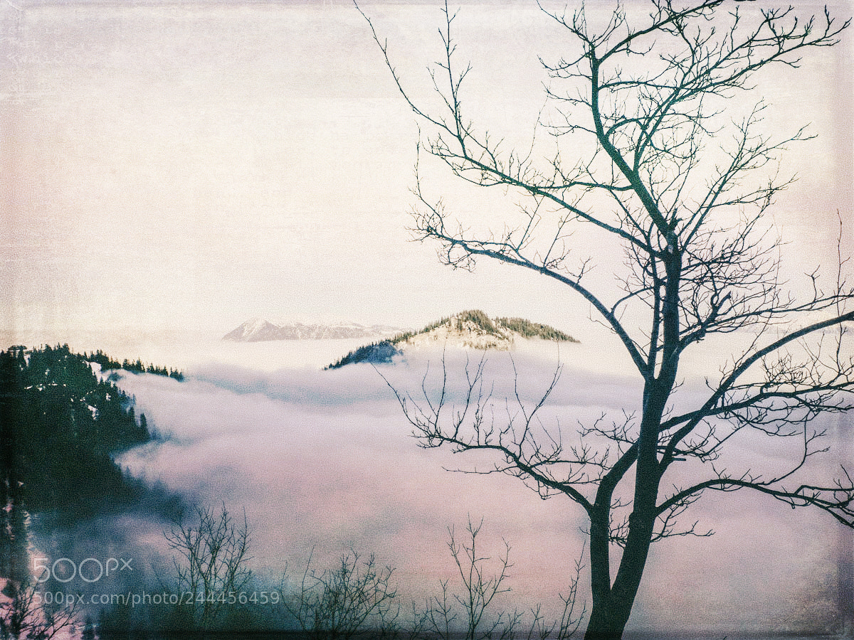 Fujifilm X30 sample photo. Foggy dreamscape photography
