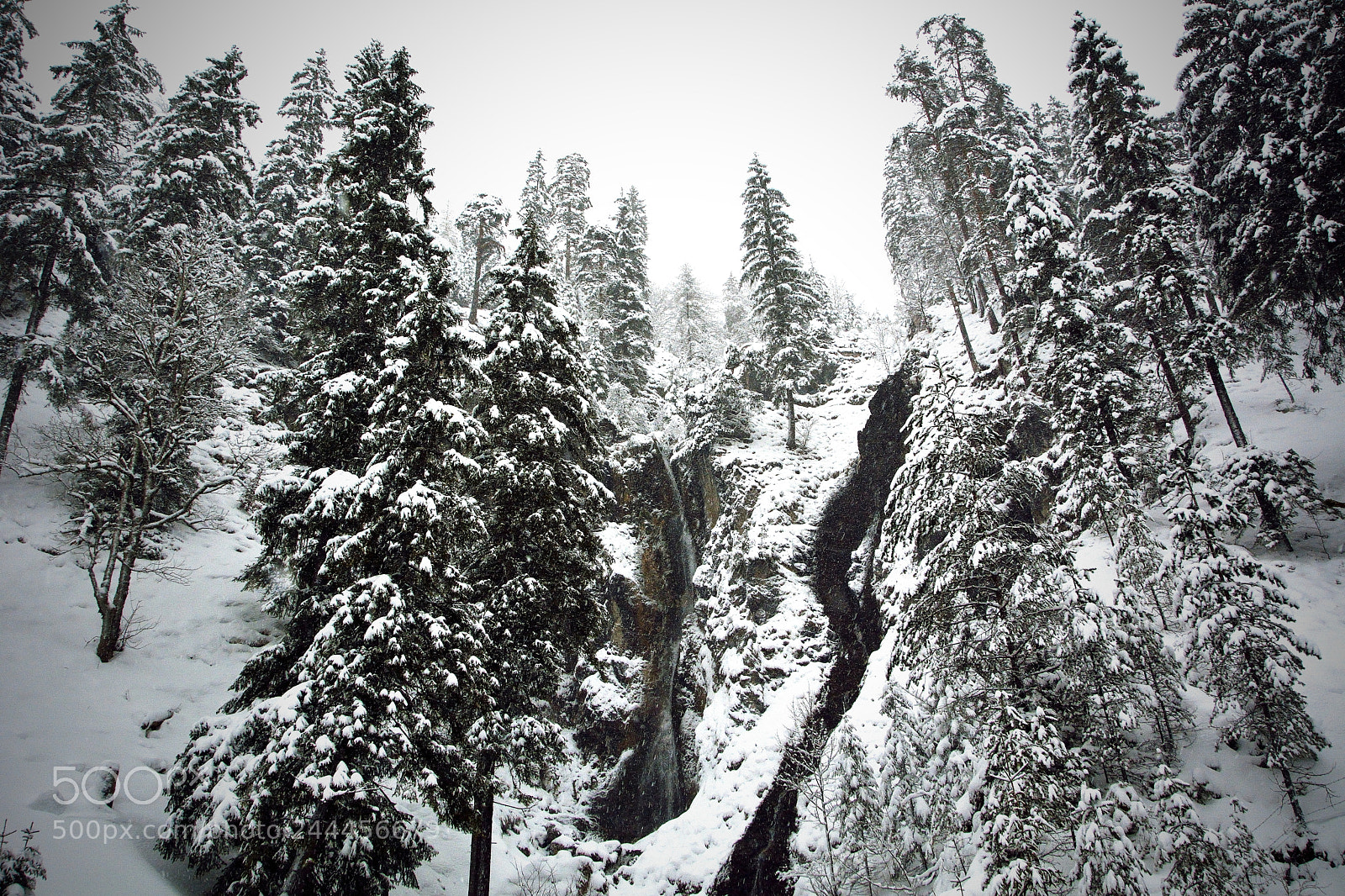 Nikon D7100 sample photo. Snow.... photography