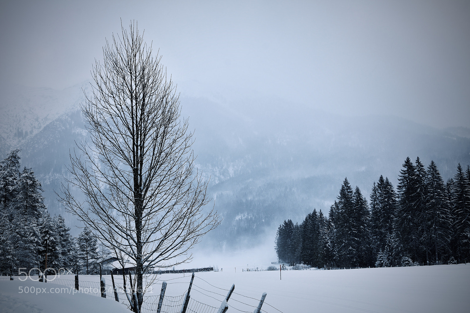 Nikon D7100 sample photo. Winter photography