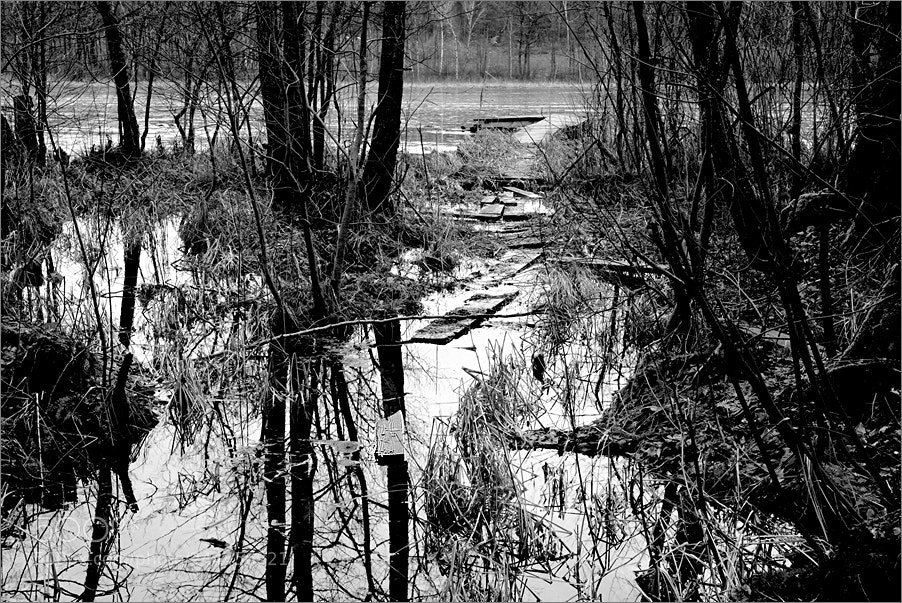 Nikon D610 sample photo. A liquid path photography