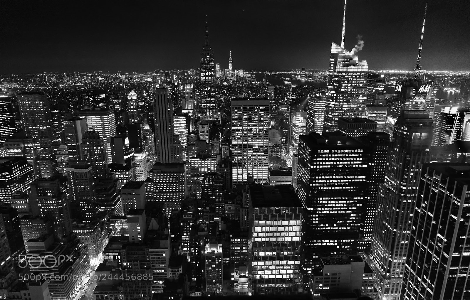 Sony a7 II sample photo. On top of photography