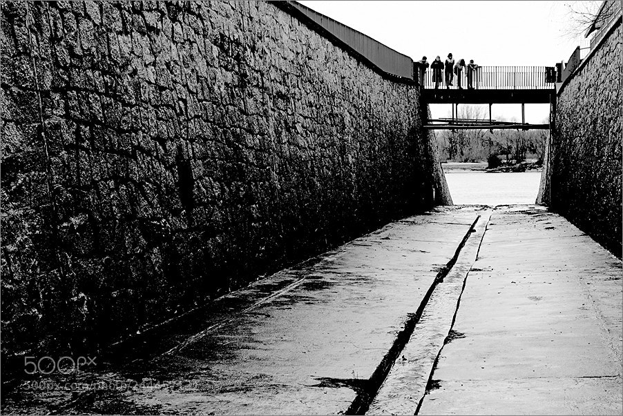 Nikon D610 sample photo. The walls of the photography