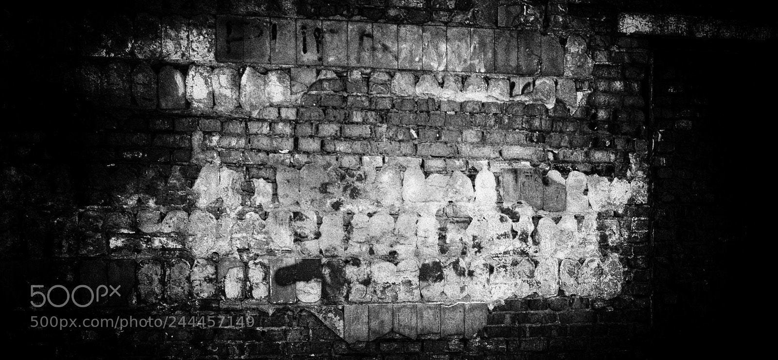 Nikon D5100 sample photo. "no exit" photography