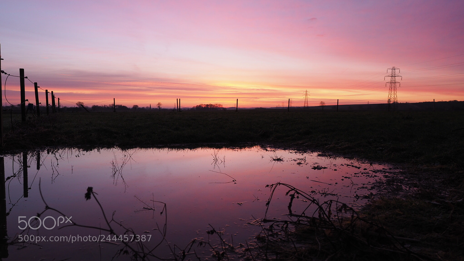 Olympus OM-D E-M10 II sample photo. 7am colour photography