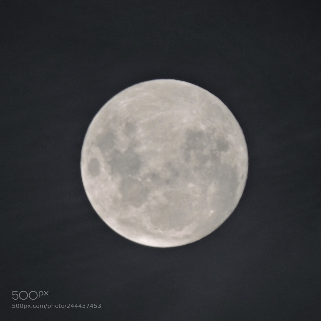 Nikon Coolpix P600 sample photo. Full moon, buenos aires photography