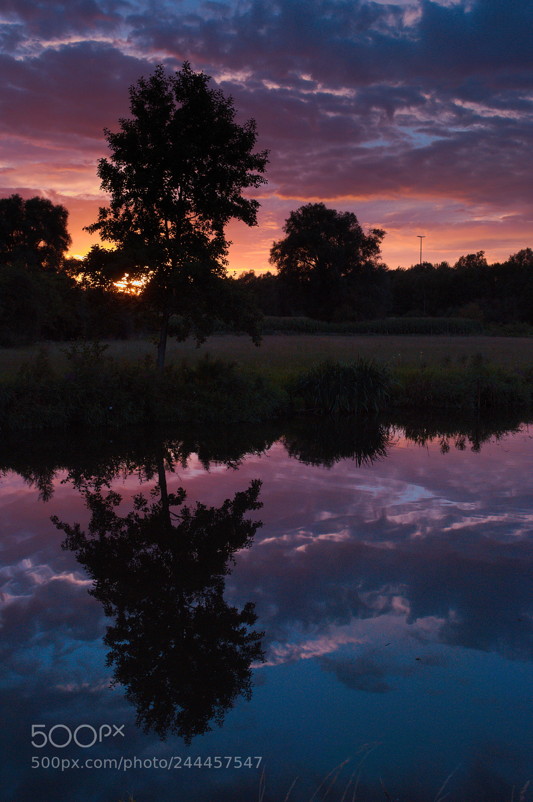 Nikon D3200 sample photo. Tree and water photography