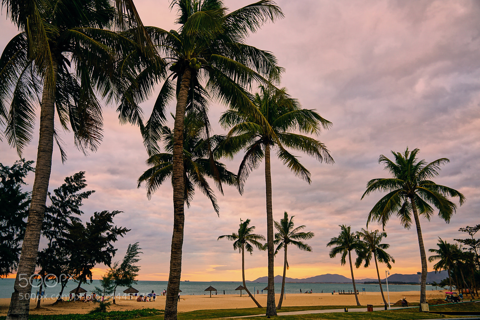 Sony a7R II sample photo. Yazhou bay photography