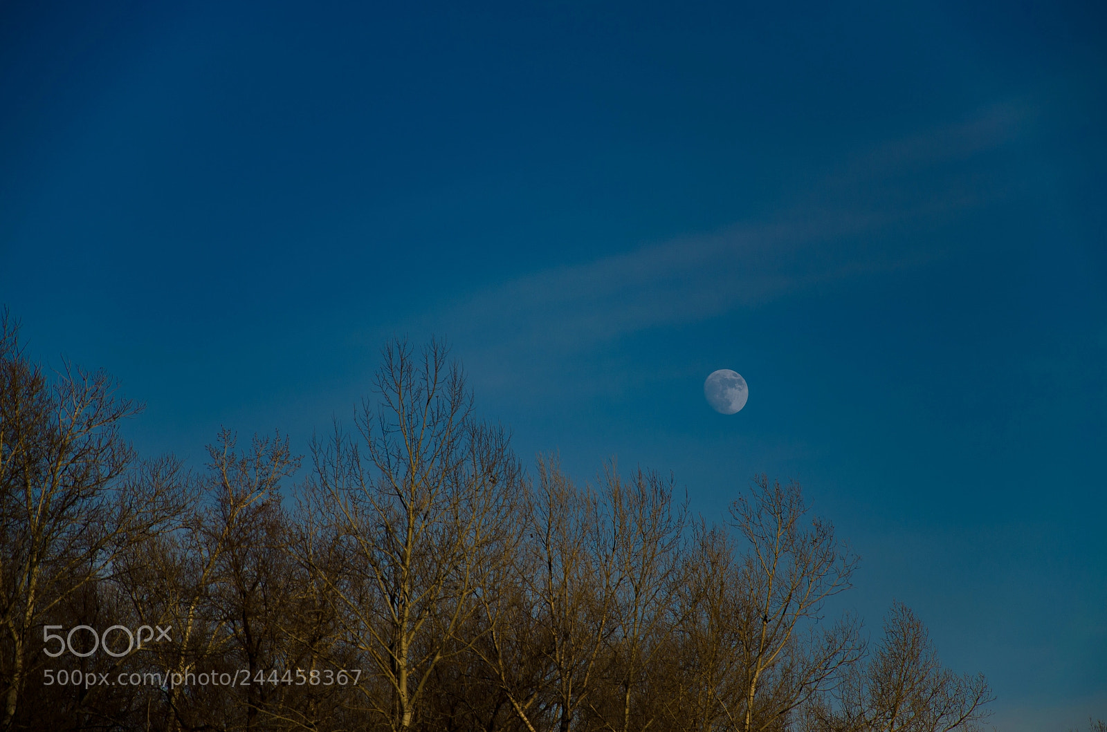 Nikon D5100 sample photo. Moon photography