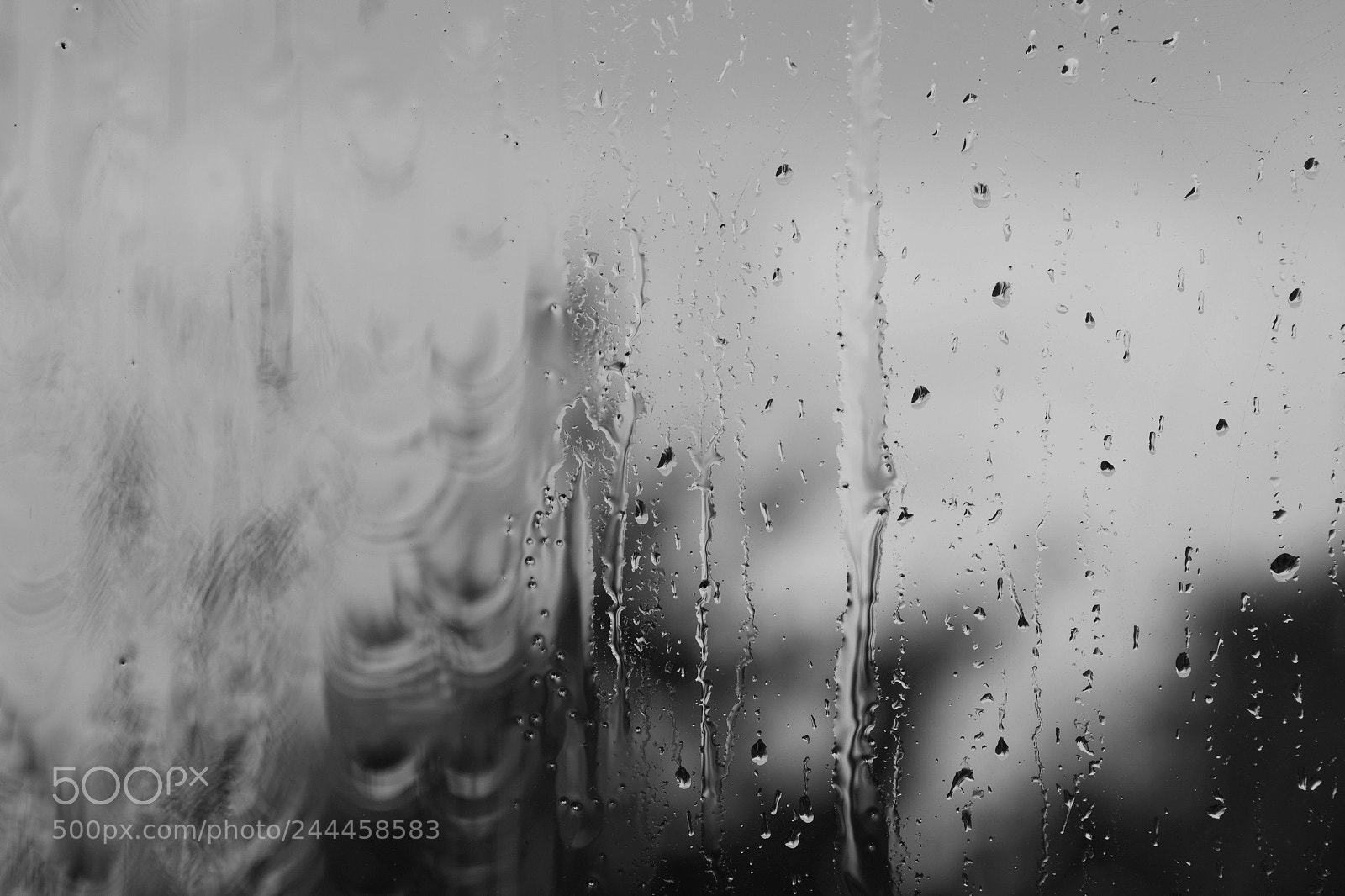 Canon EOS 60D sample photo. B&w window photography