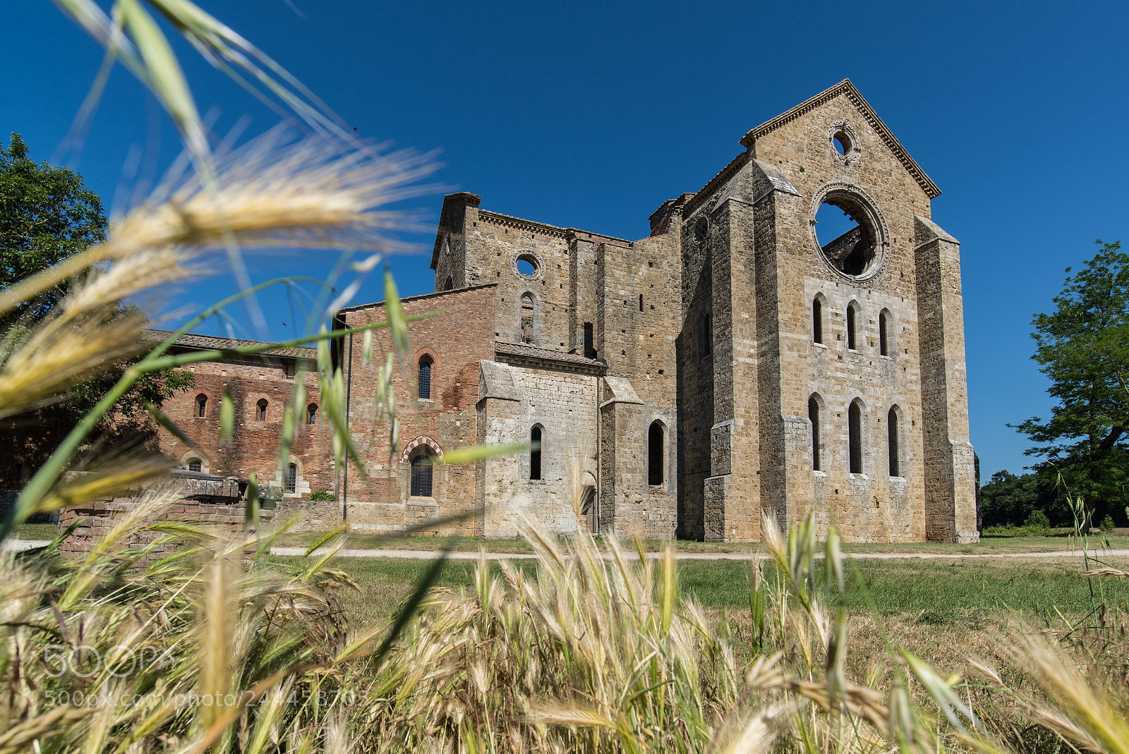 Nikon D600 sample photo. San galgano abbey! photography