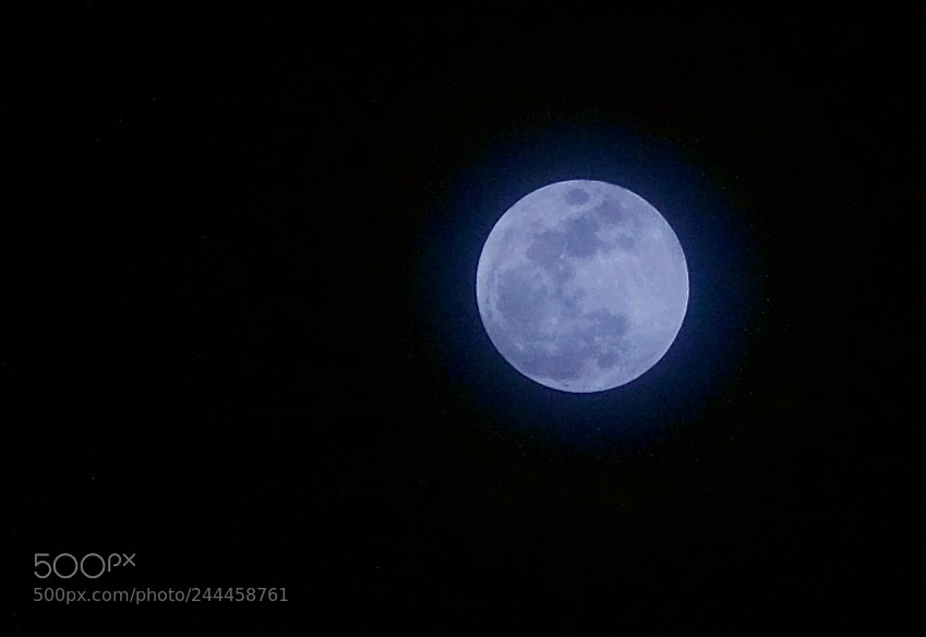 Nikon D800 sample photo. Untitled photography
