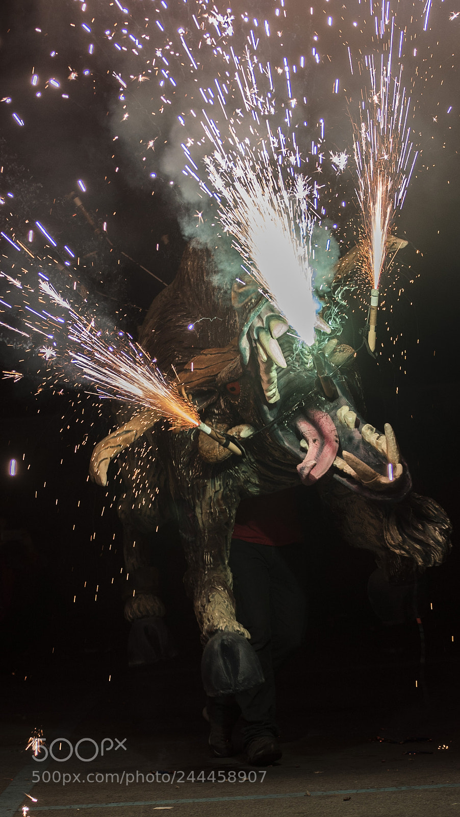 Sony a7S sample photo. Angry photography