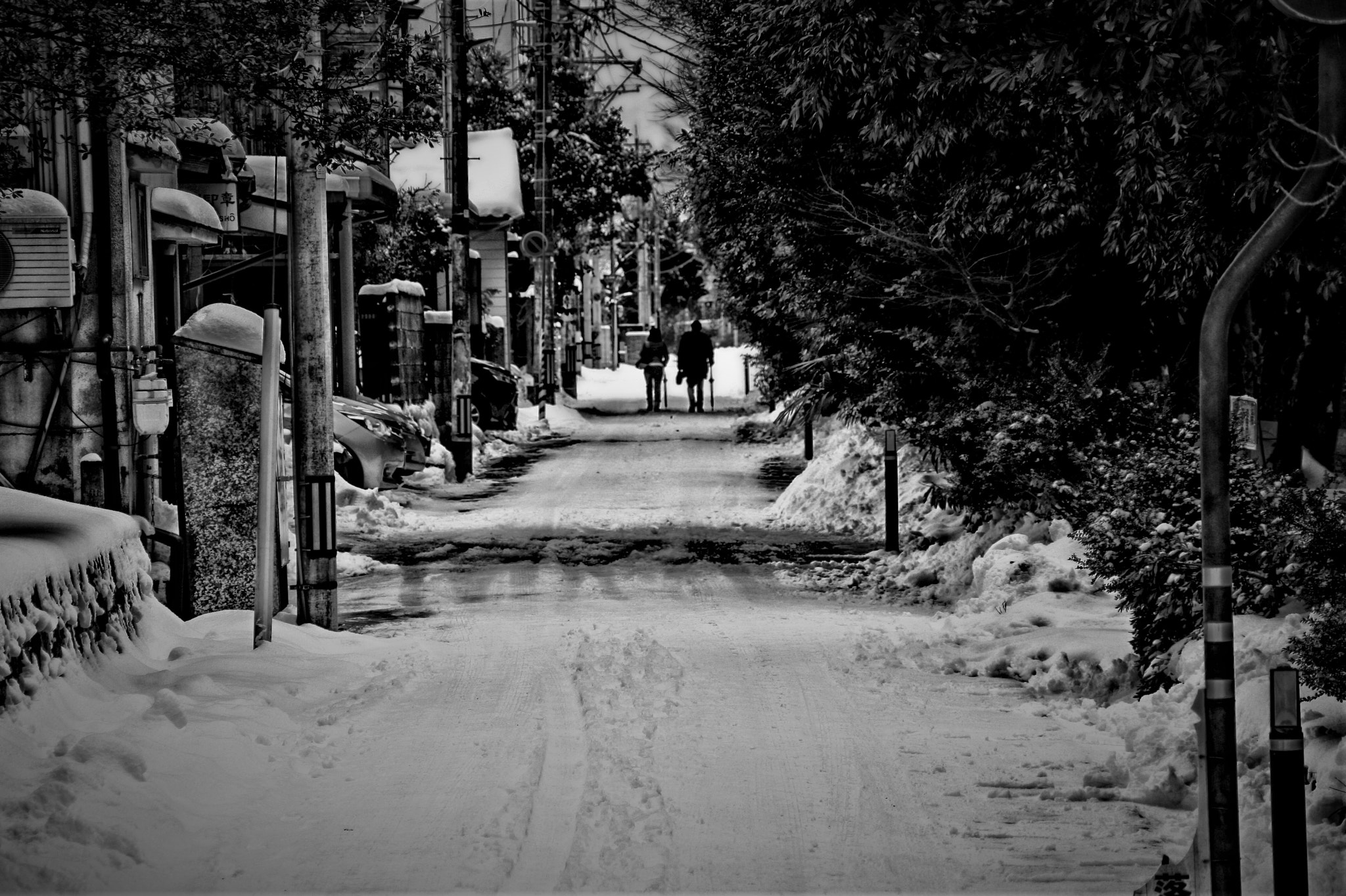 Canon EOS 450D (EOS Rebel XSi / EOS Kiss X2) sample photo. Winter load photography
