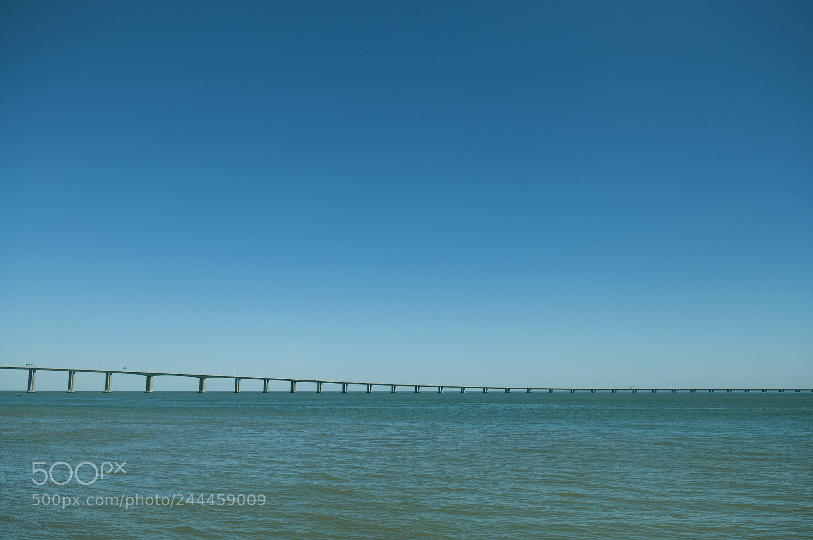 Nikon D5000 sample photo. The bridge photography