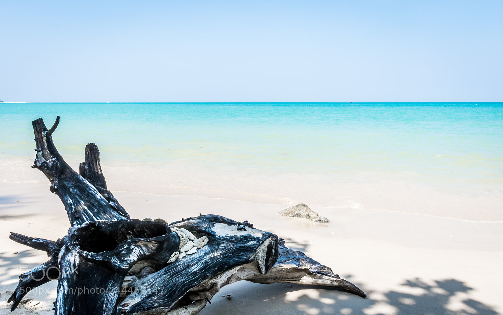 Nikon D7200 sample photo. Whitesandbeach photography