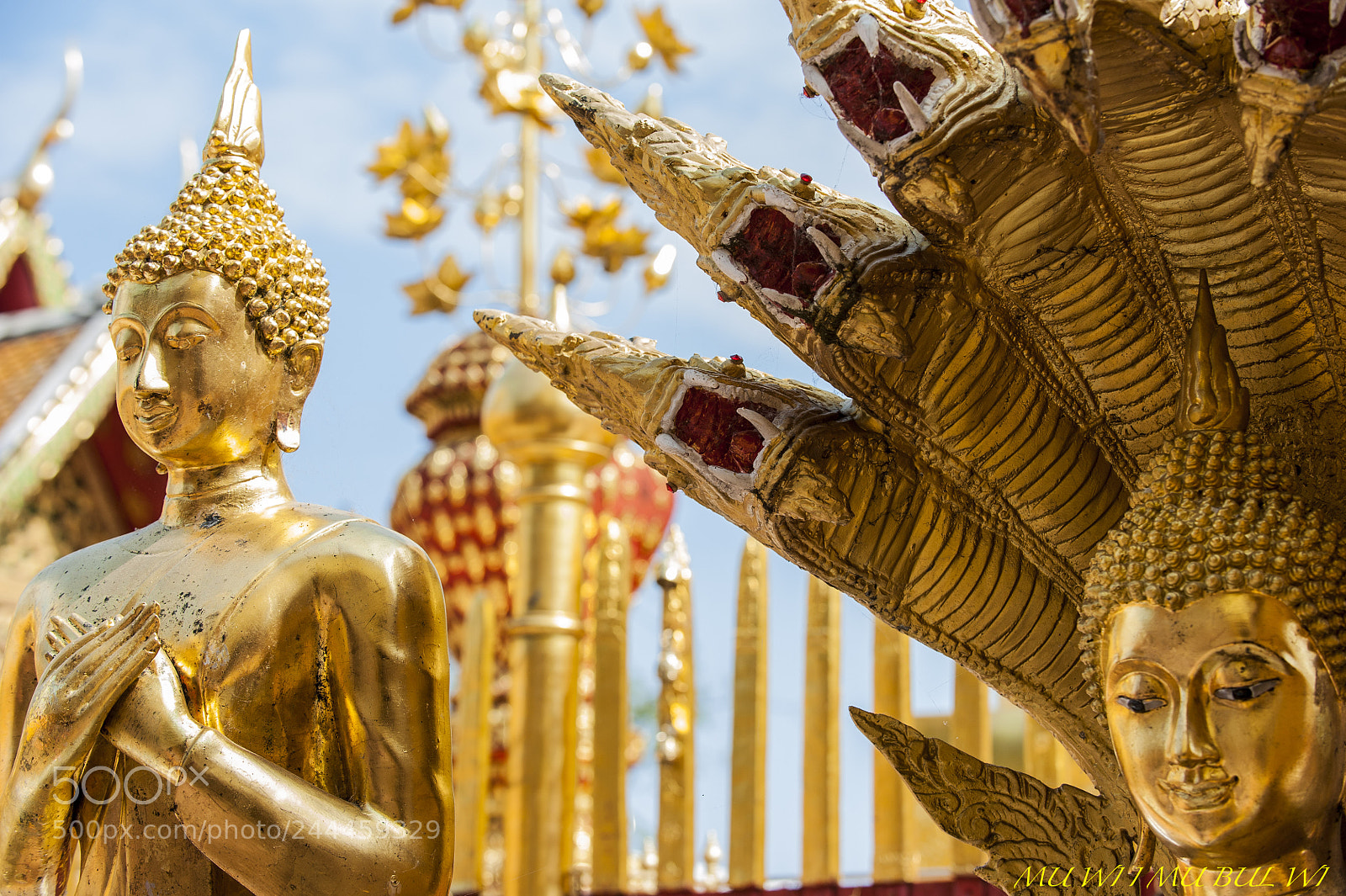 Nikon D700 sample photo. Chiangmai photography
